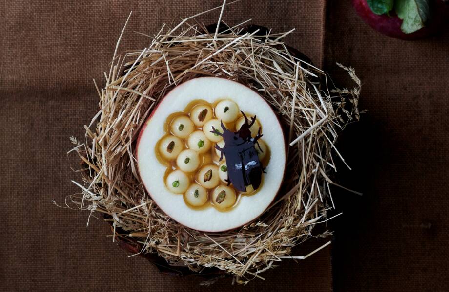 Noma-Copenhagen-Denmark-1 Noma-Copenhagen-Denmark-1