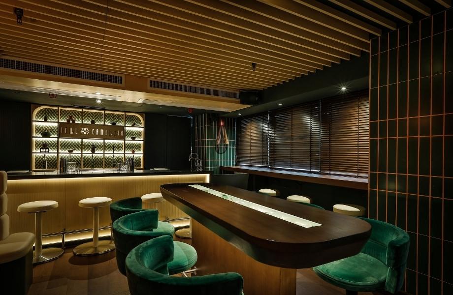 Tell_Camellia-Hong_Kong-China-2 Tell_Camellia-Hong_Kong-China-2