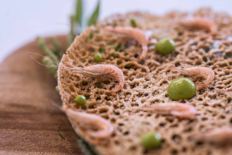 W50BR25 - Aponiente - 51-100