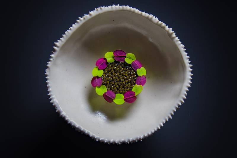 W50BR25 - Atelier Crenn - 51-100