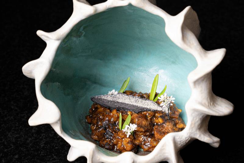 W50BR25 - Leo - 51-100