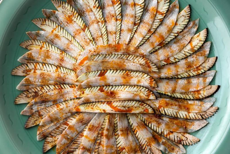 W50BR25 - Sazenka - 51-100